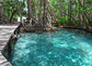 JUNGLE PATH - thumbnail 1
