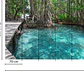 JUNGLE PATH - thumbnail 3