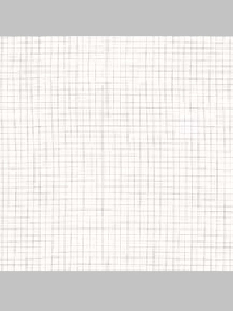 11160404-LES PETITS CURIEUX- (53CM)   1