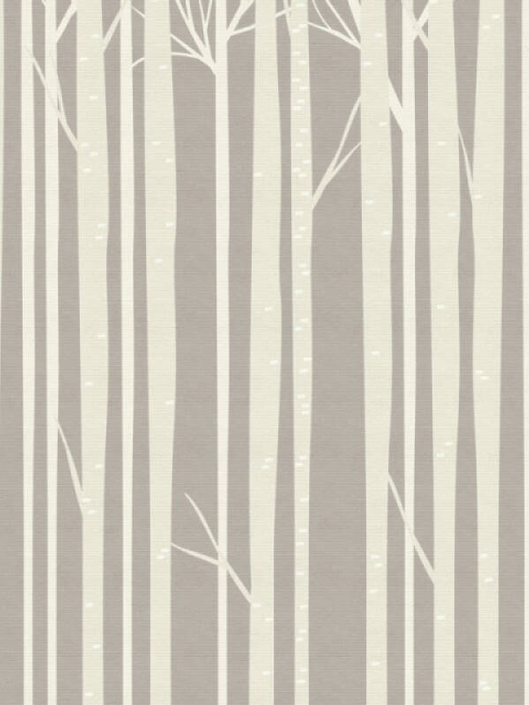 KIDS -  382951 - THE WALL - A.C 1