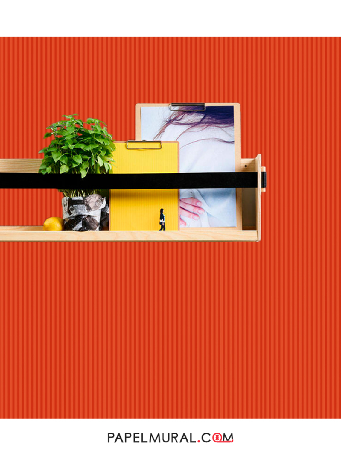 Contzen Paper - 679673 (0cm) - A.C.  2