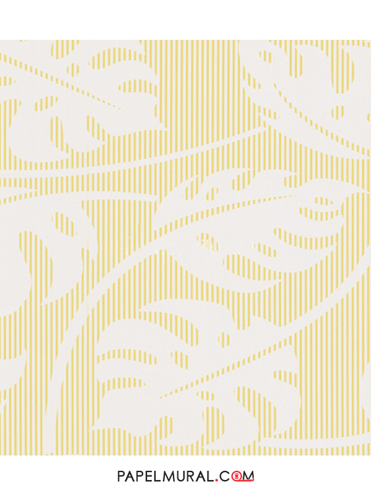 Contzen Paper - 679925 (64cm) - A.C. 1