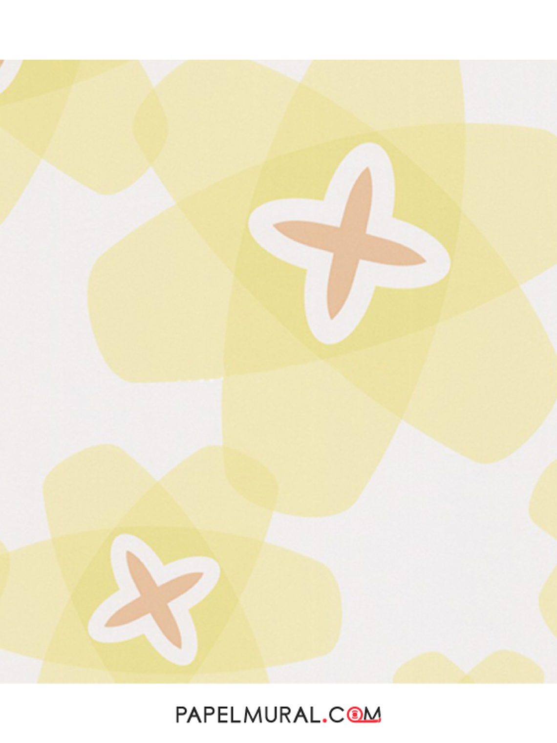 Contzen Paper - 680020 (64cm) - A.C. 1