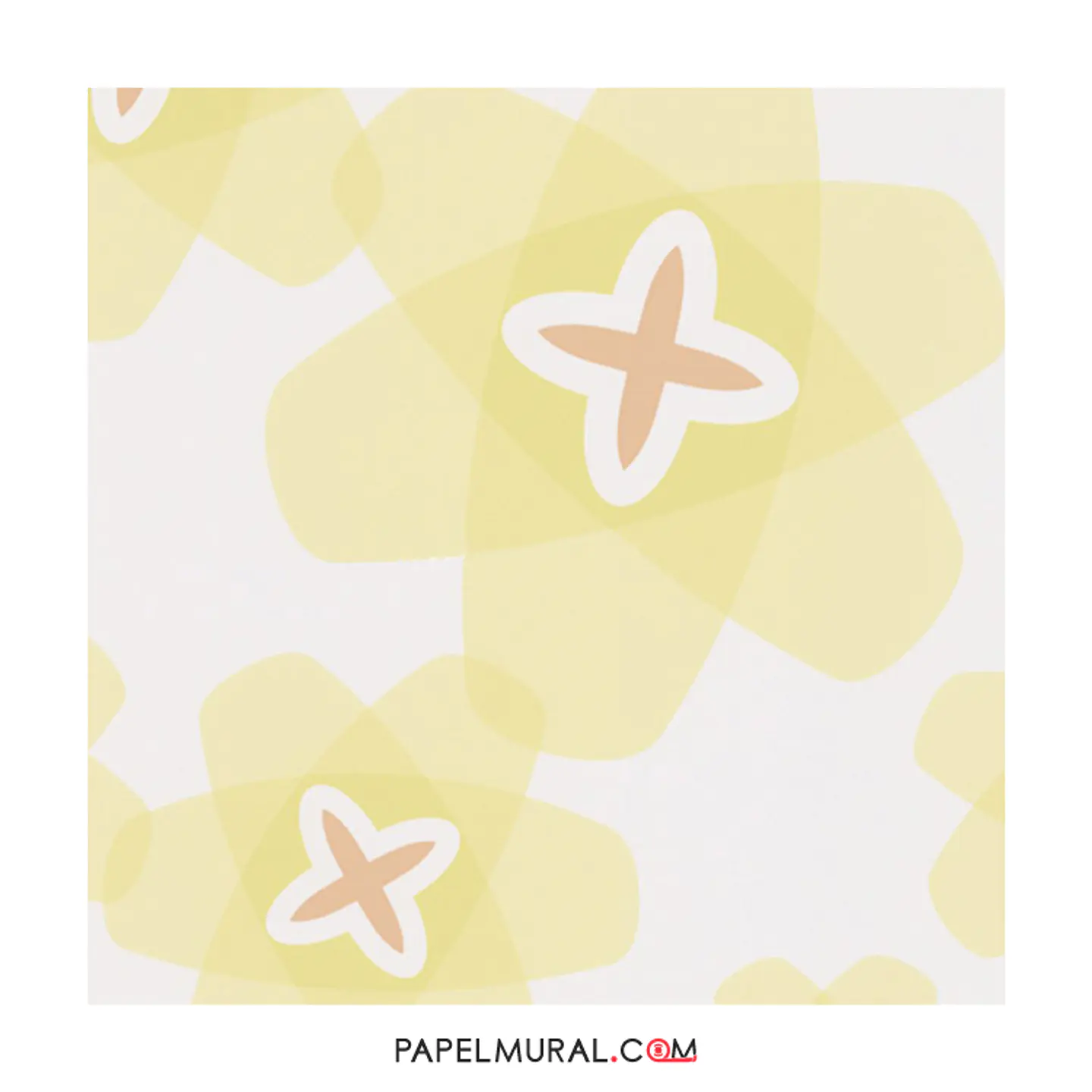 Contzen Paper - 680020 (64cm) - A.C. 1