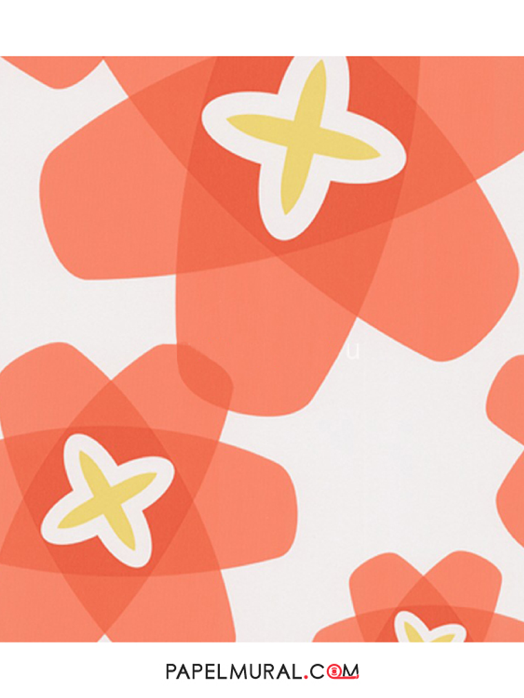 Contzen Paper - 680075 (64cm) - A.C. 1