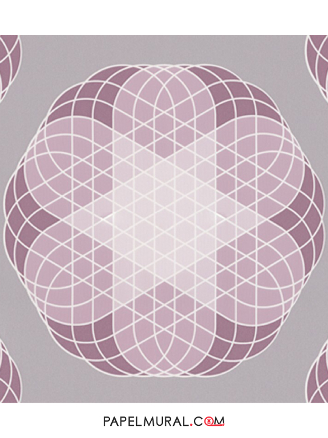 Contzen Paper - 680389 (32cm) - A.C. 1