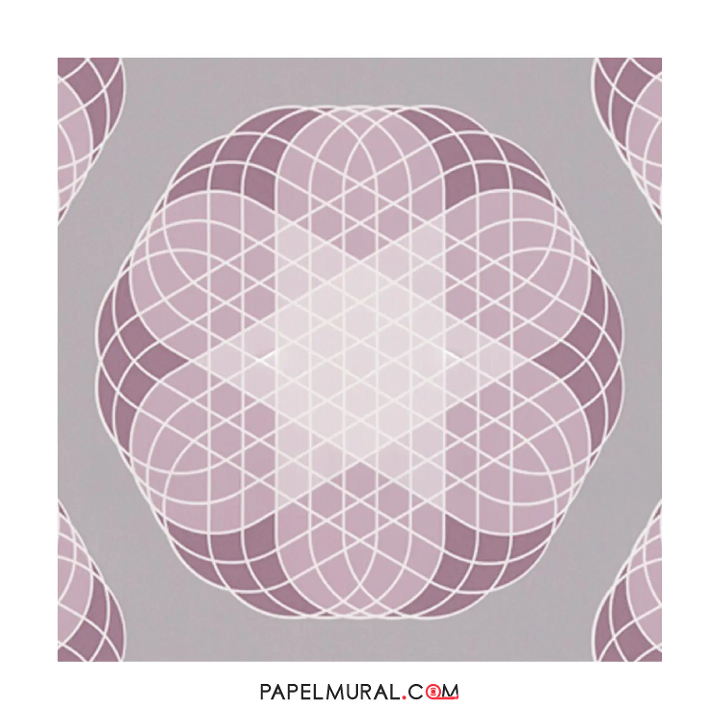 Contzen Paper - 680389 (32cm) - A.C. 1