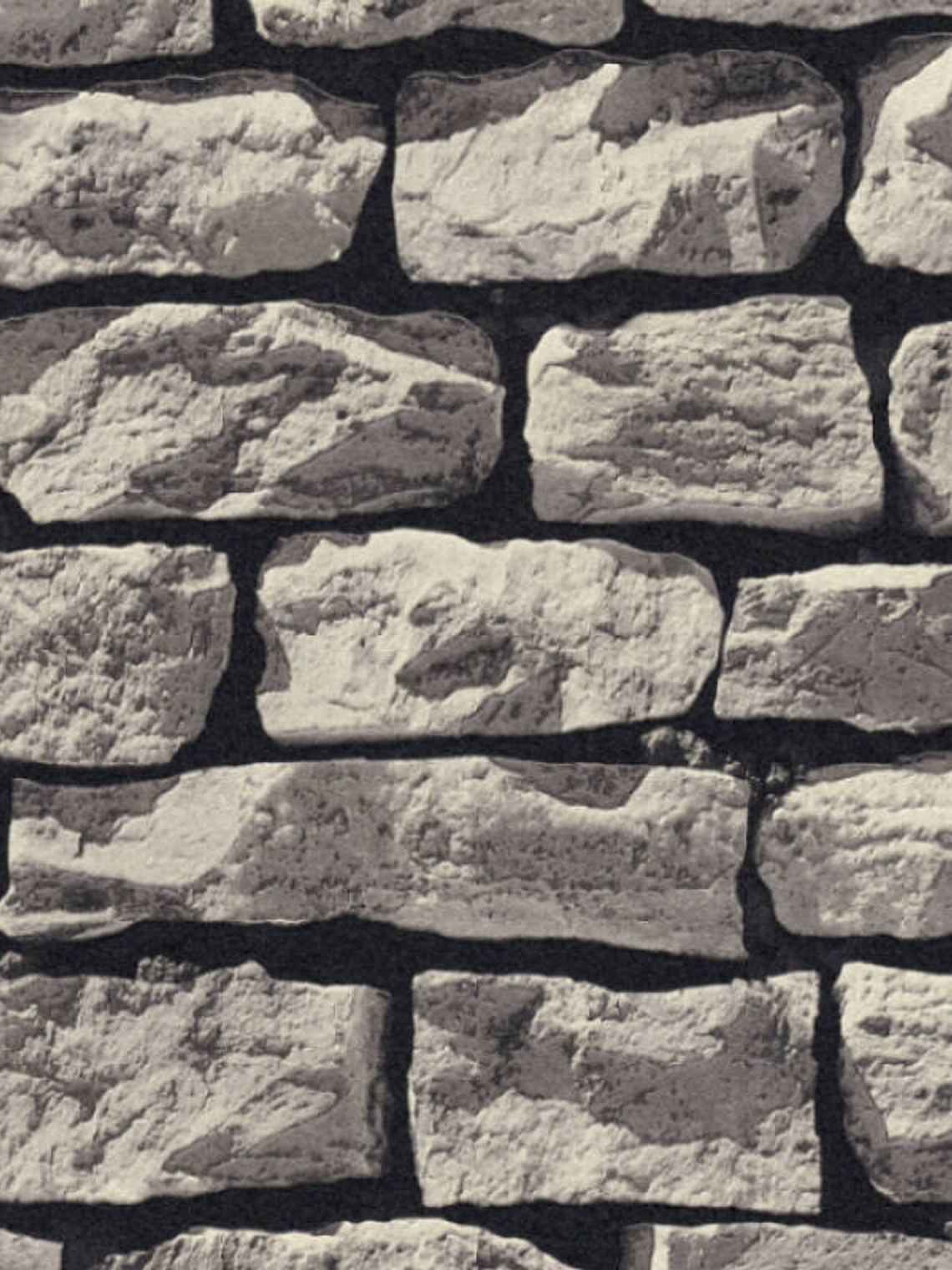 907929 - (64CM  ) - BEST OF WOOD STONE 2DA EDICION 2