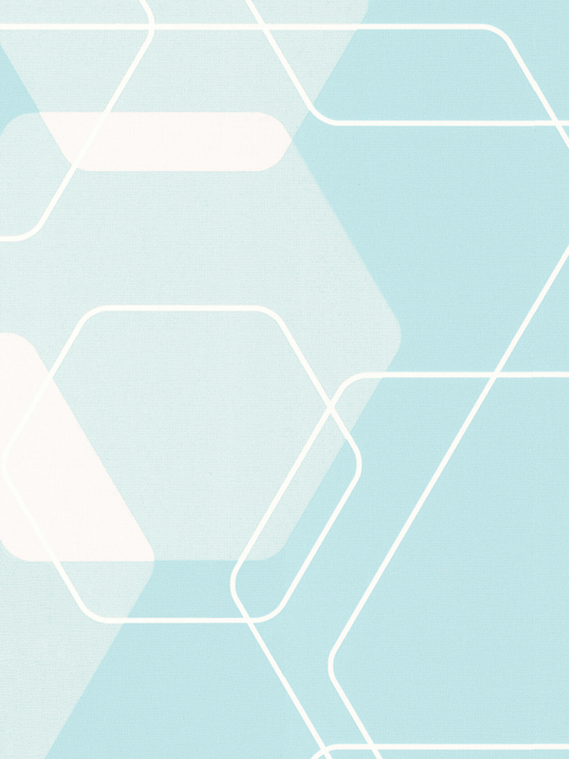 880819 (80 CM) - LARS CONTZEN 3  1