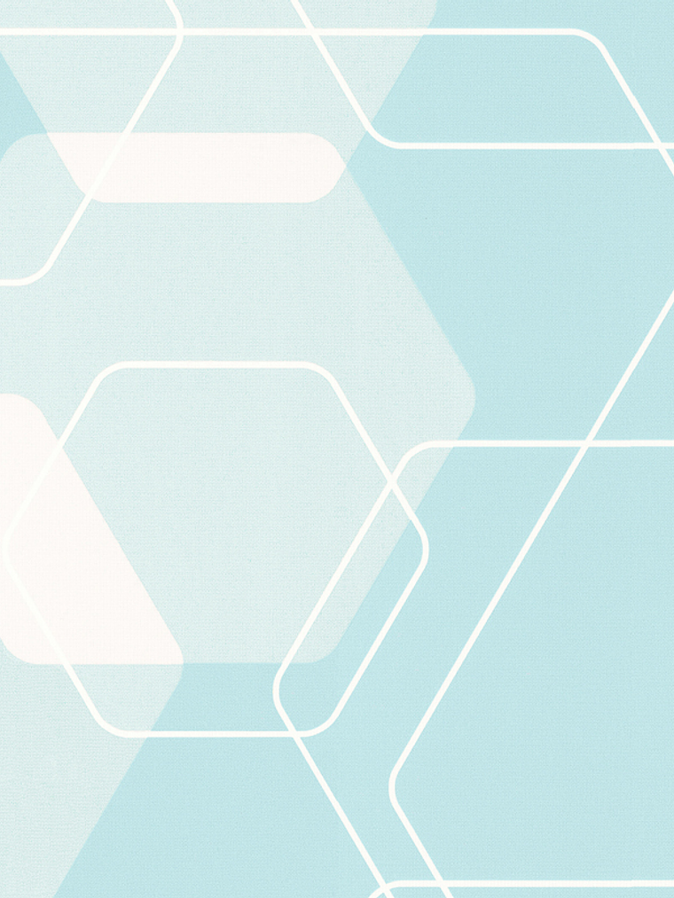 880819 (80 CM) - LARS CONTZEN 3  1