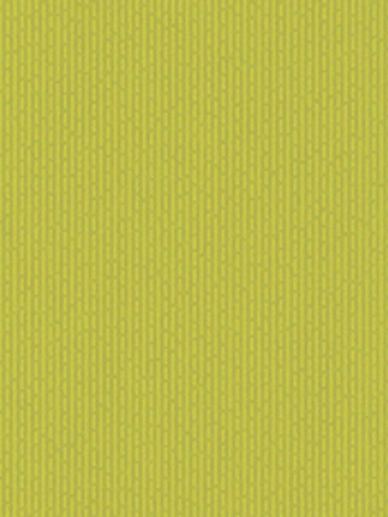 FLOCK 3 - 256089 (0 cm) - A.C.  1