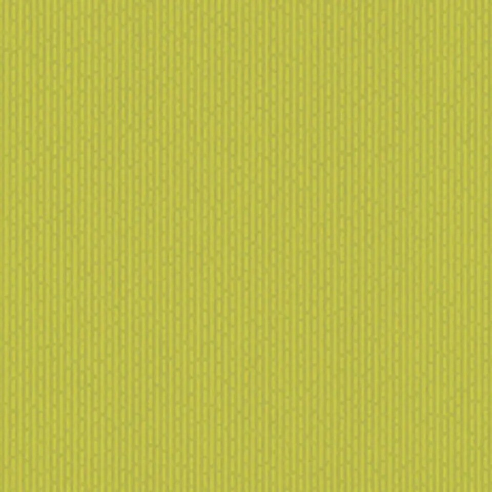 FLOCK 3 - 256089 (0 cm) - A.C.  1