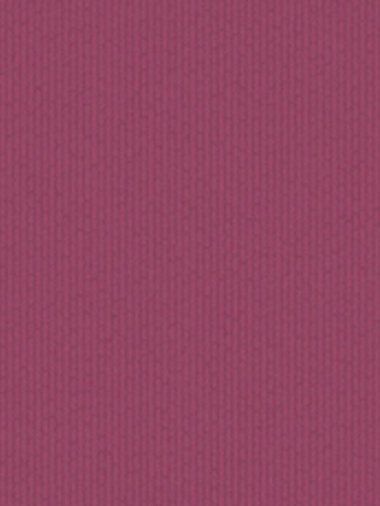 FLOCK 3 - 256034 (0 cm) - A.C.  1