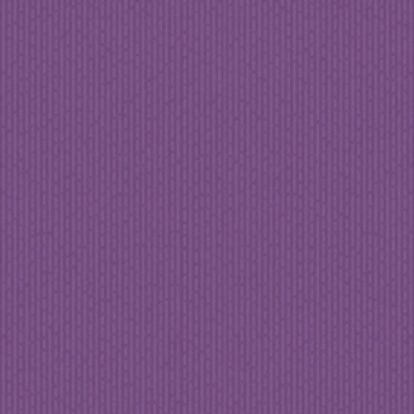 FLOCK 3 - 256157 (0 cm) - A.C. - 1