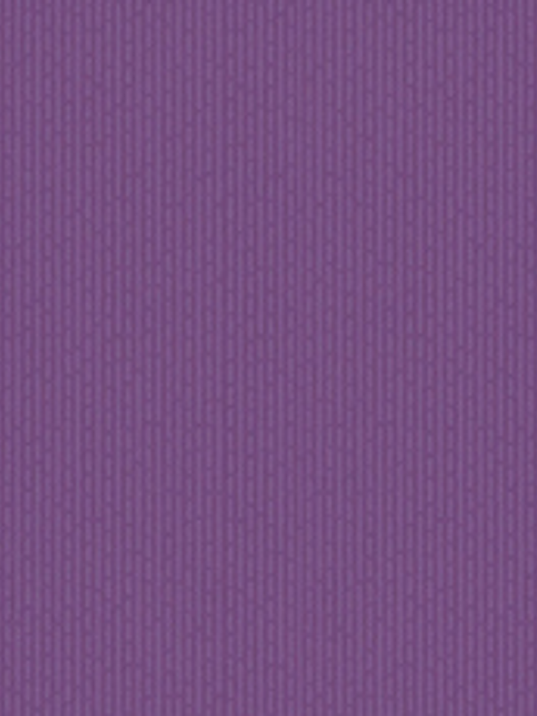 FLOCK 3 - 256157 (0 cm) - A.C. - 1