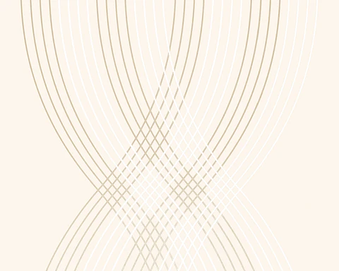 FLOCK 3 - 255860 (0 cm) - A.C.