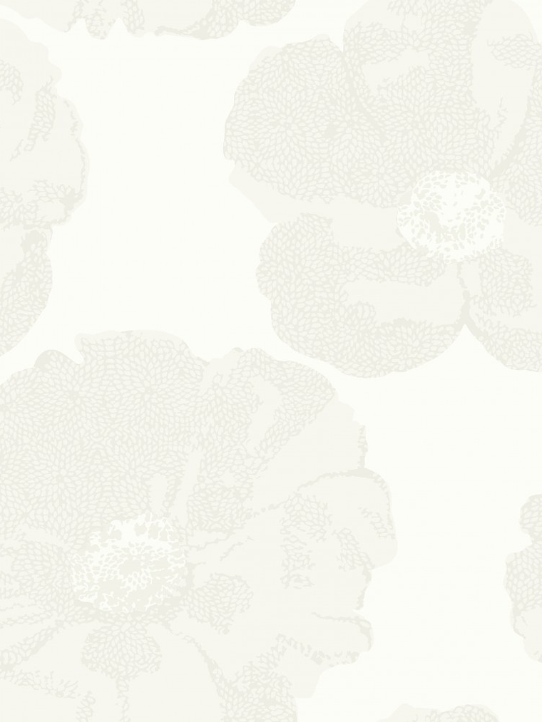 SENSATION - 227266 (64 cm) - GD -  1