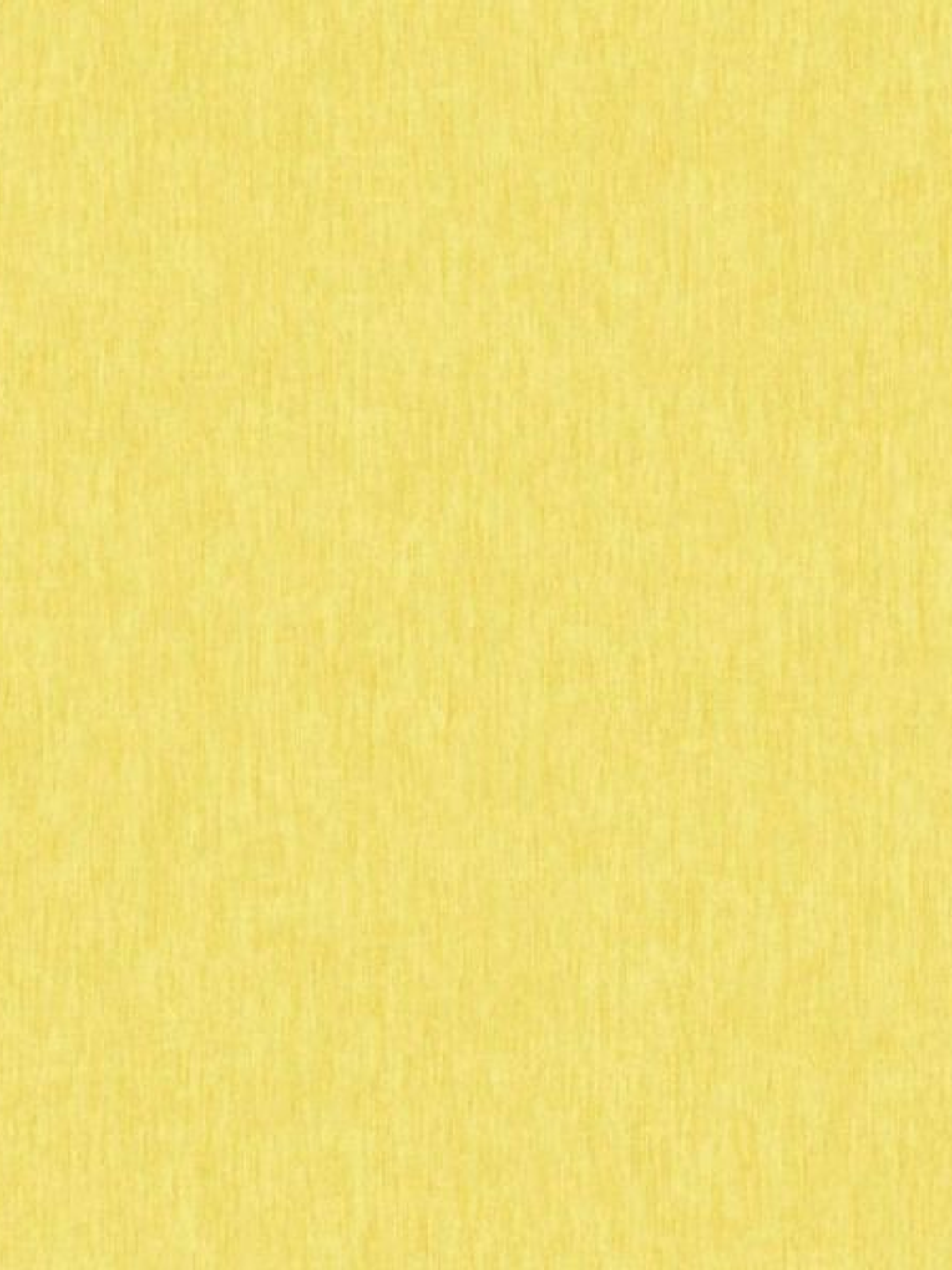 SENSATION - 227203 (0 cm) - GD -  1