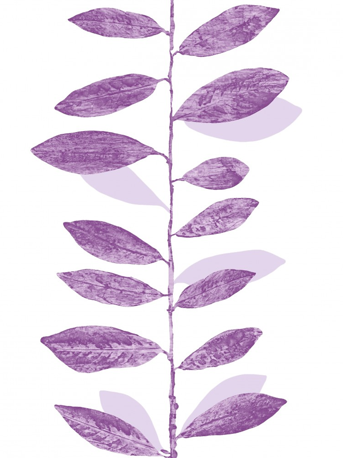 SENSATION - 227239(0 cm) - GD -  1