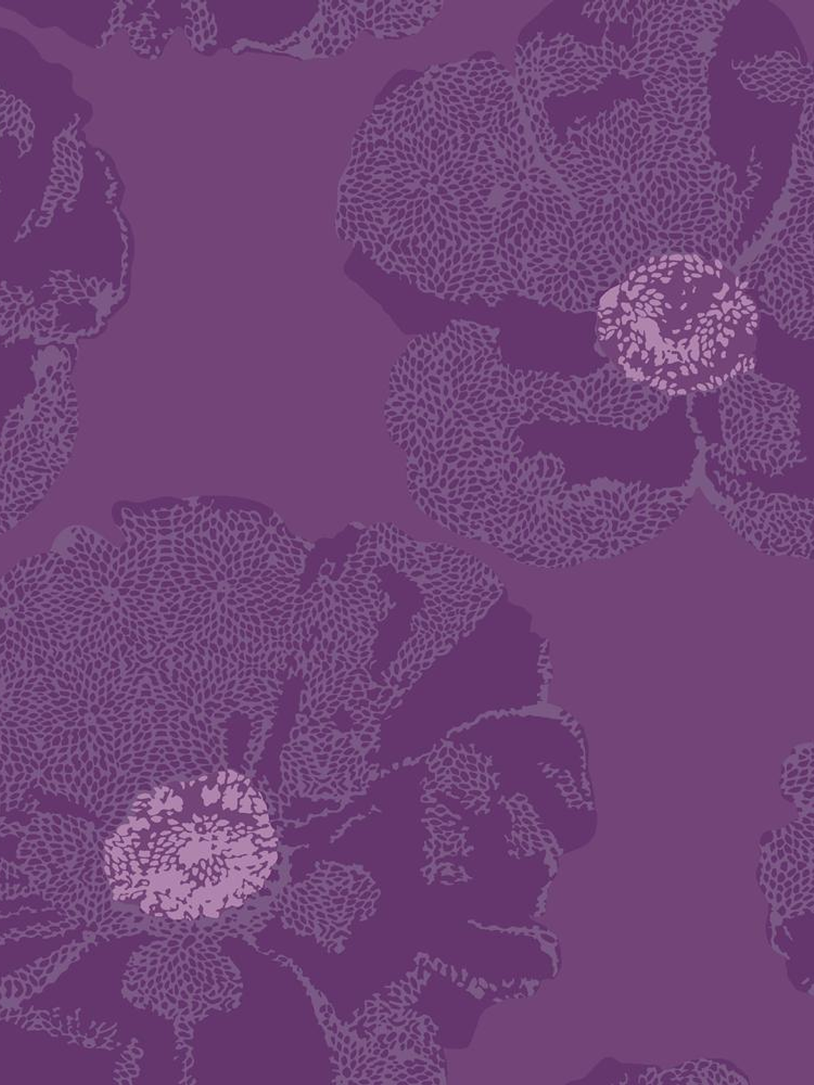 SENSATION - 227269 (64 cm) - GD - 1