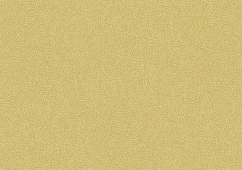 AURORA -16502 (0)-GD