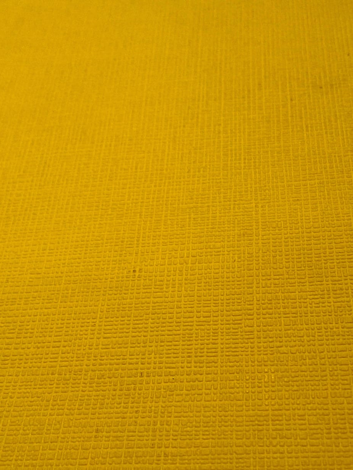 COLOUR COURAGE - 805638 (0 cm) - A.C.      1