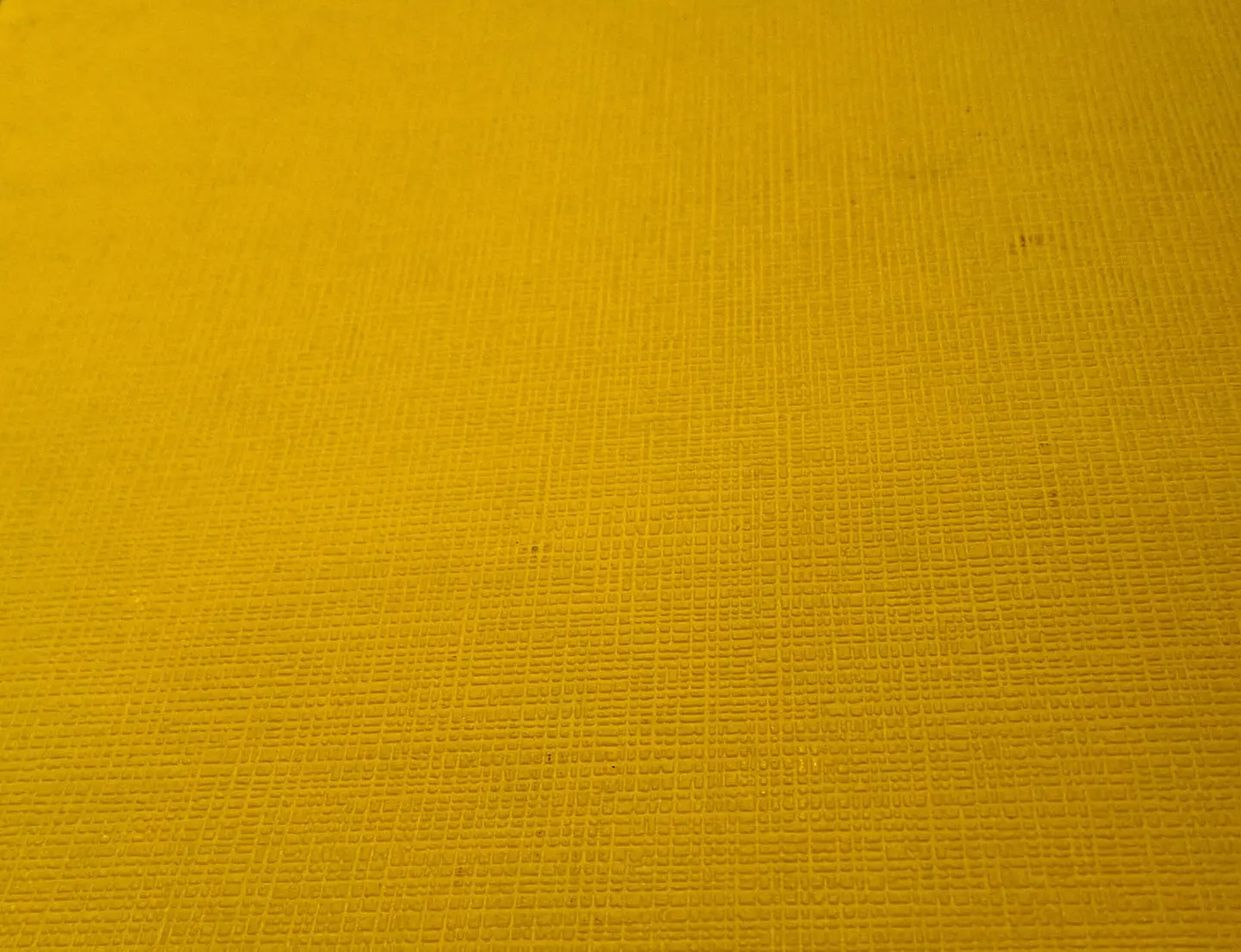 COLOUR COURAGE - 805638 (0 cm) - A.C.      1