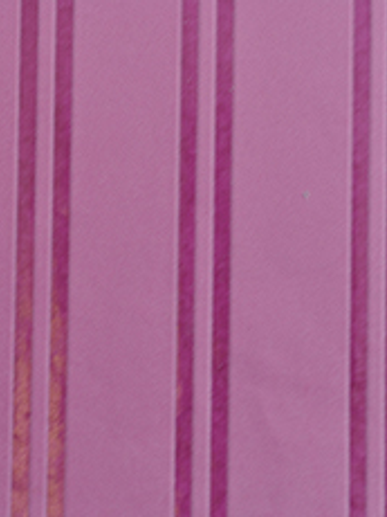 FLOCK 2 - 557339 (0 cm) - A.C.  2