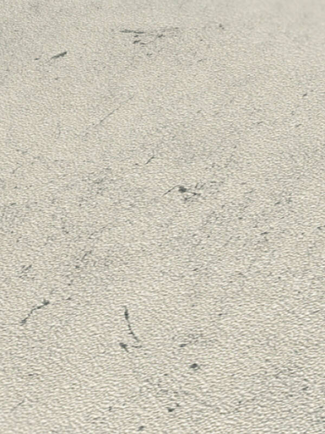 WOOD&MAT - 952591 (0cm) 2