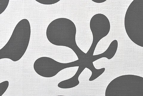 CONTZEN I - 623713 (64cm) - A.C.-