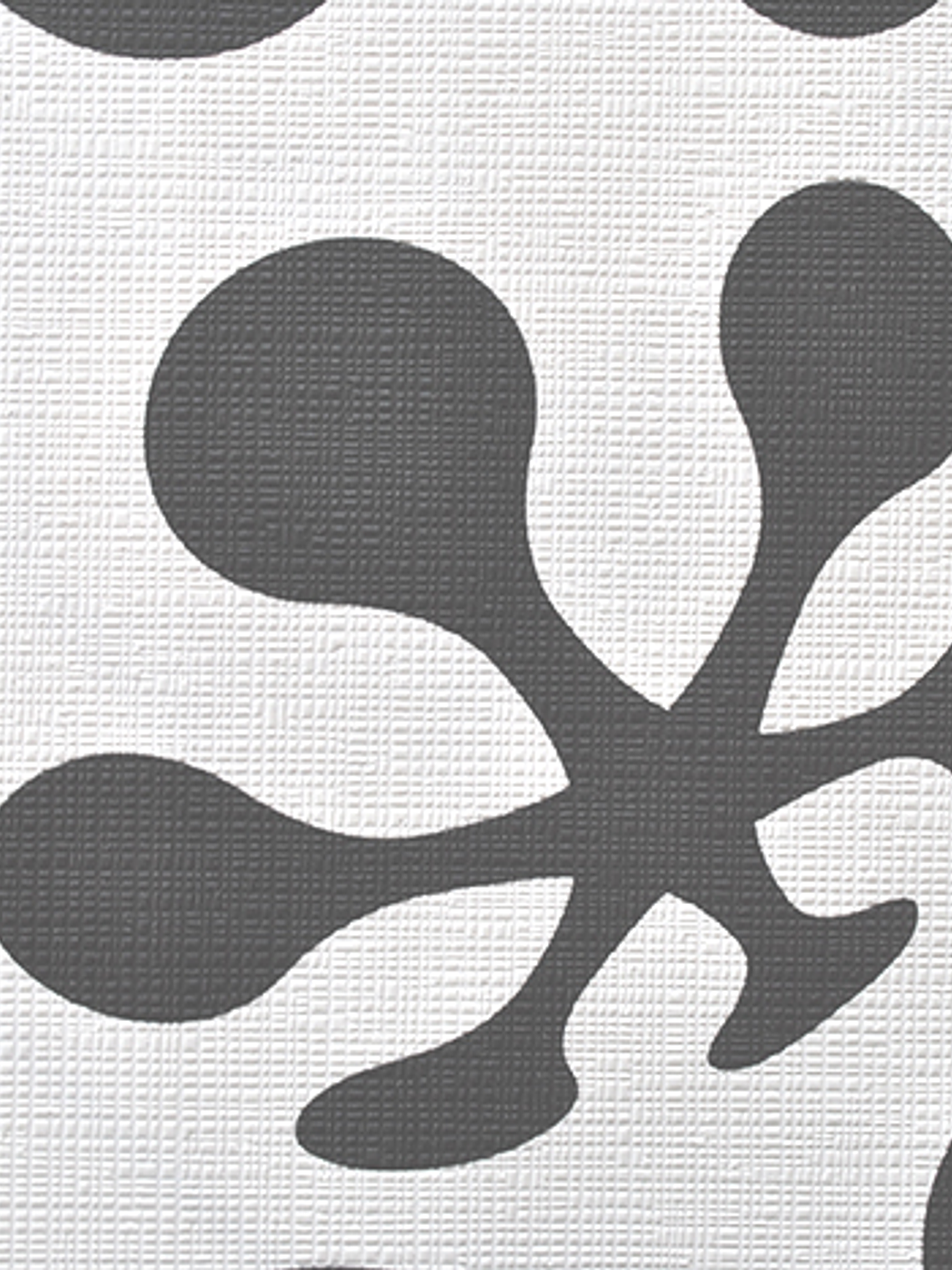 CONTZEN I - 623713 (64cm) - A.C.- 1