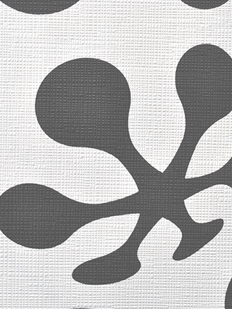 CONTZEN I - 623713 (64cm) - A.C.- 1