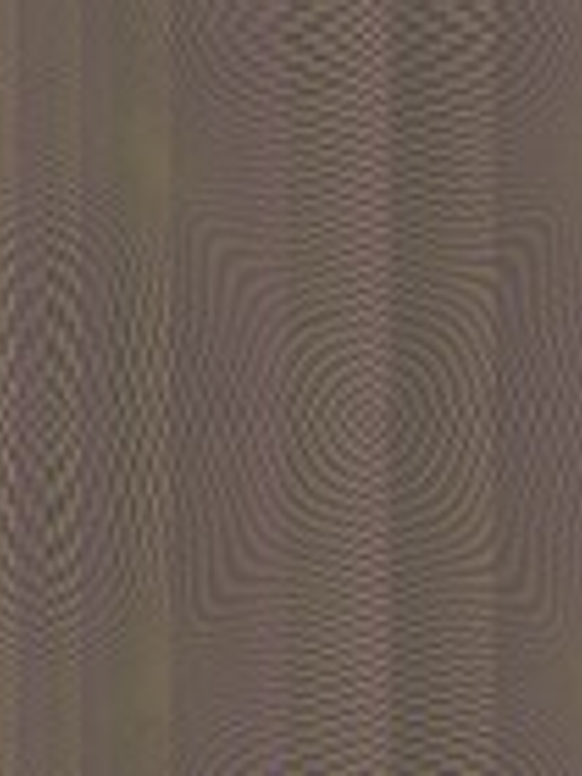 CARO - 78634 (64 cm) - MARBURG 1