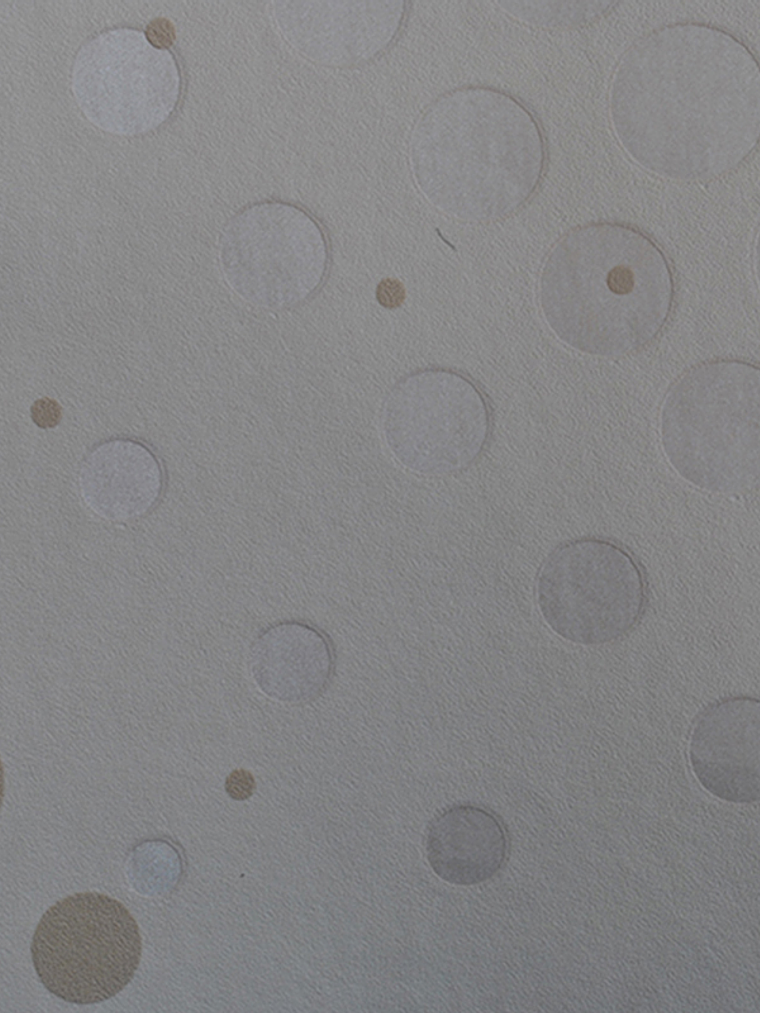 SAPHYR - 280137 (64 cm) - A.C.  1