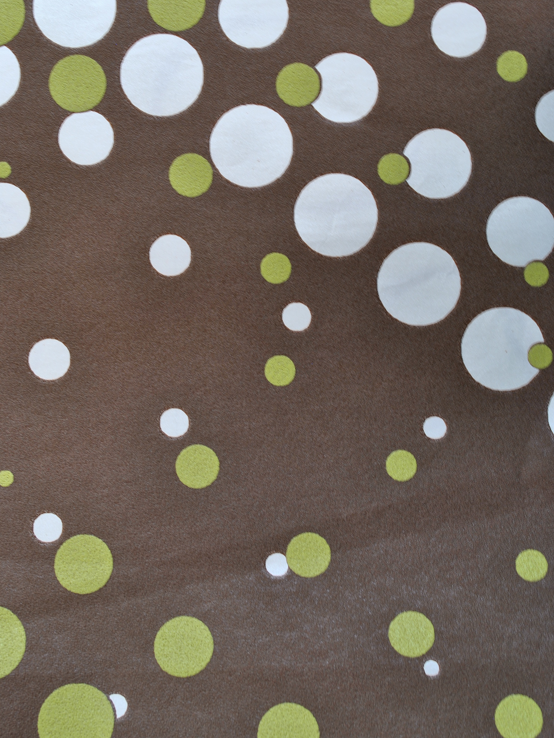 SAPHYR - 280134 (64 cm) - A.C.  1