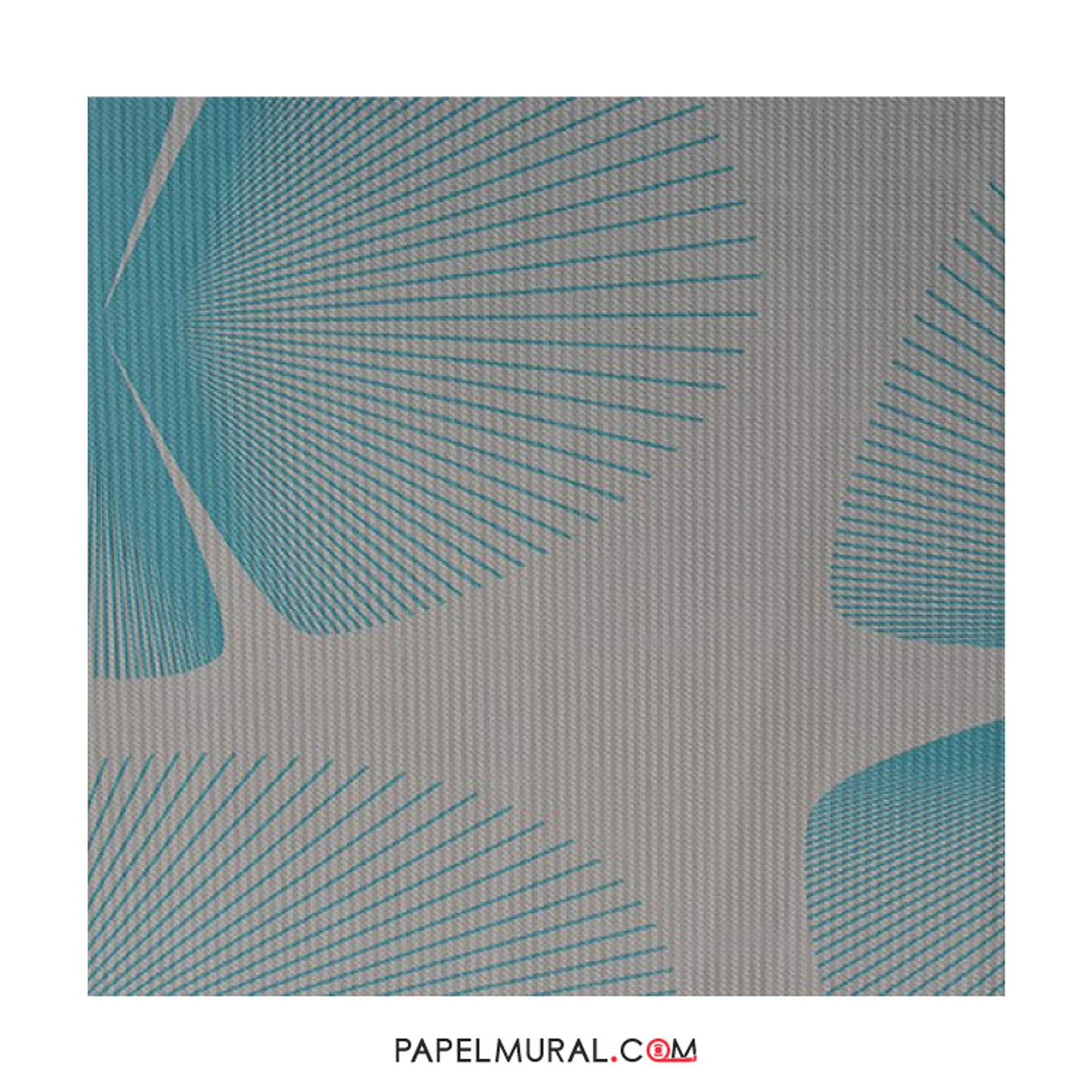 CONTZEN II - 668721 (64cm) - A.C.- 1