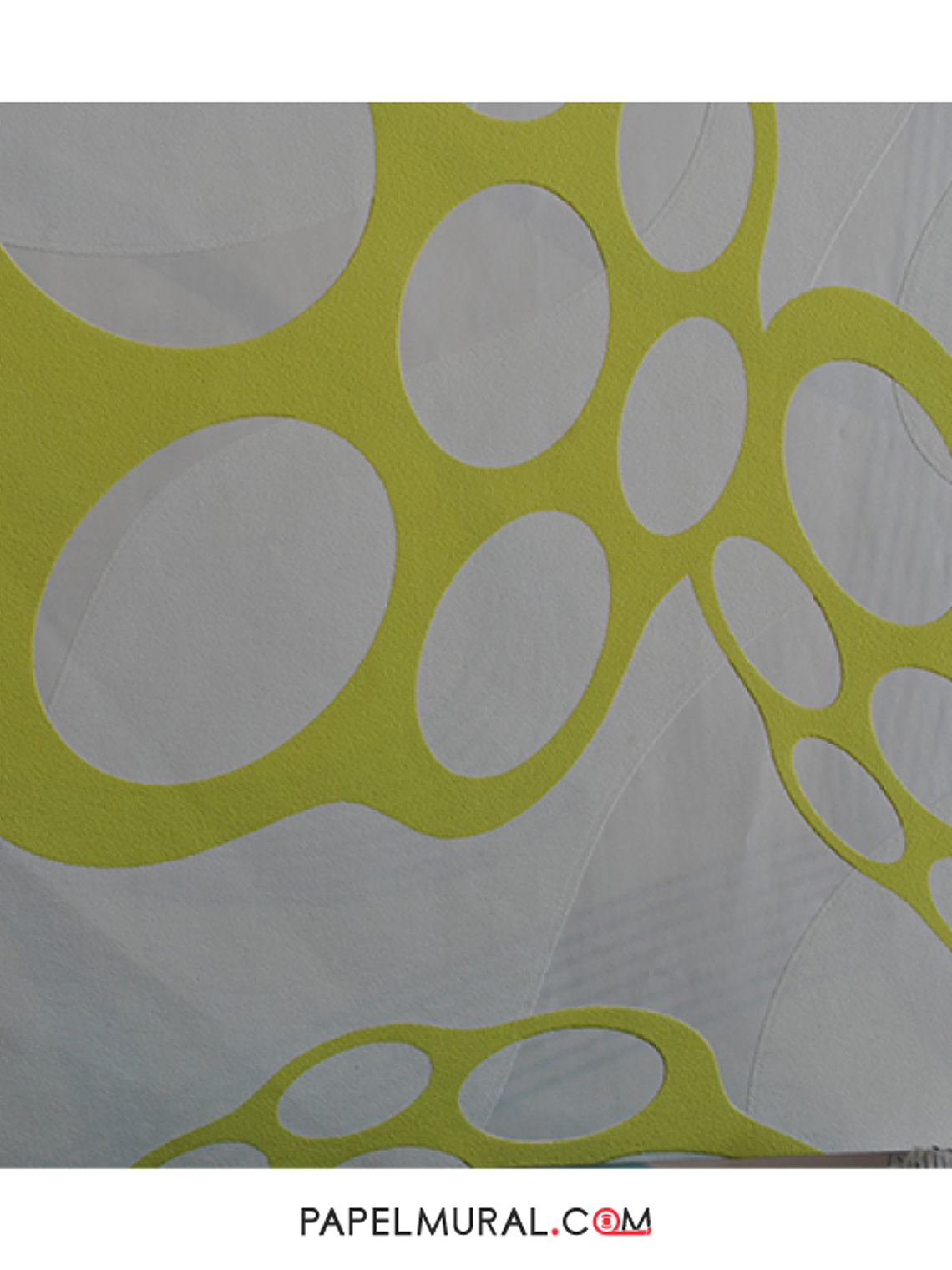 CONTZEN II - 123619 (64cm) - A.C.- 1