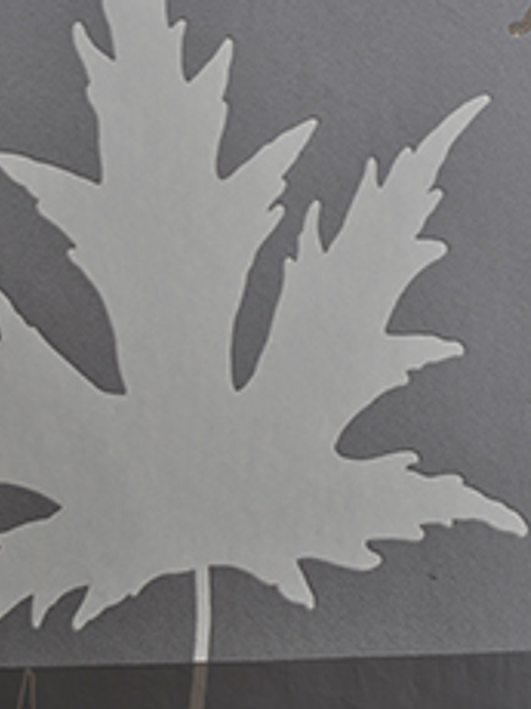 77619-(64 cm)- SUPROFIL VLIES  2