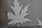 77619-(64 cm)- SUPROFIL VLIES  - thumbnail 3