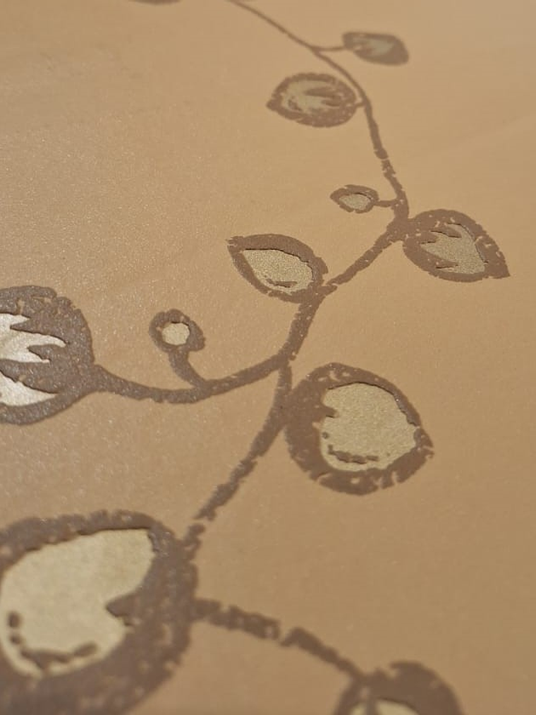 SCHONER - 115546 (64 cm) - A.C.- 1