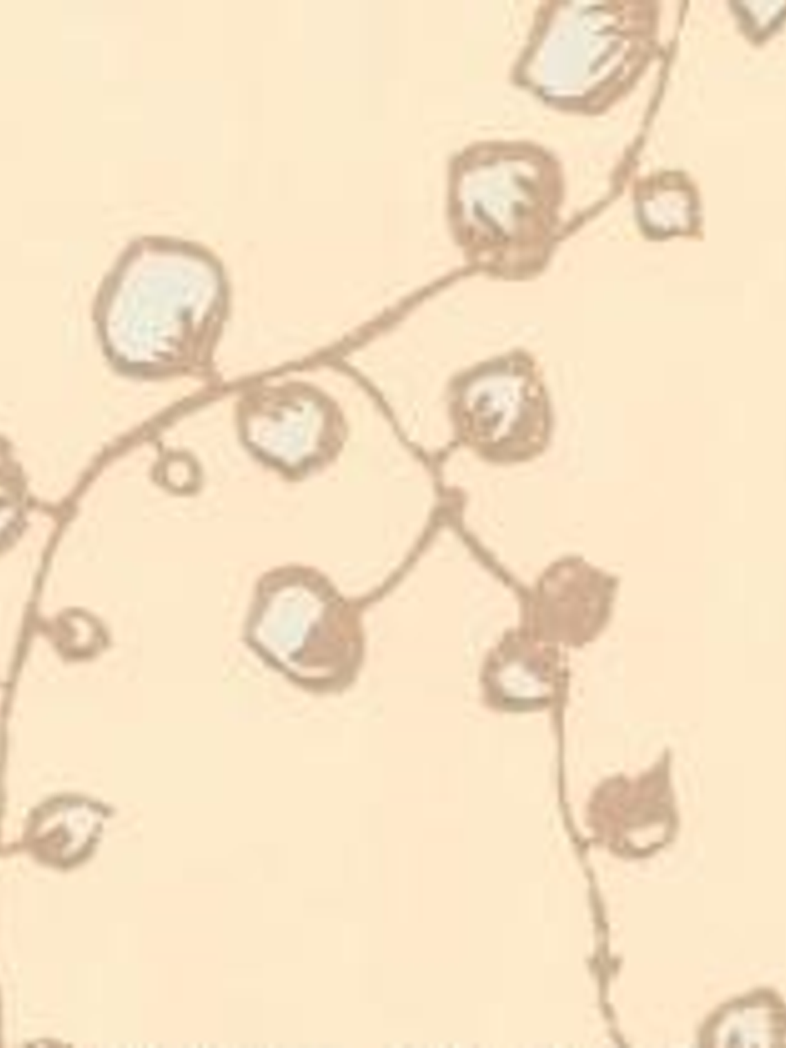 SCHONER - 115539 (64 cm) - A.C. 1