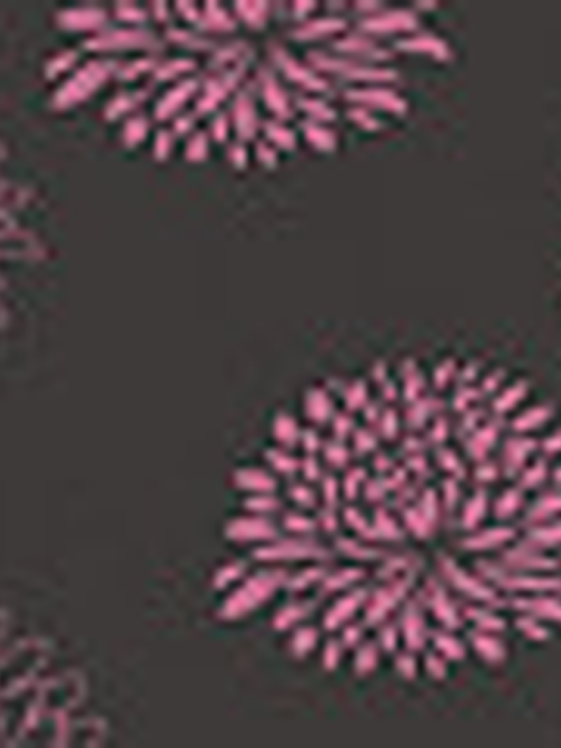 Desire - 624857 (64cm)  2