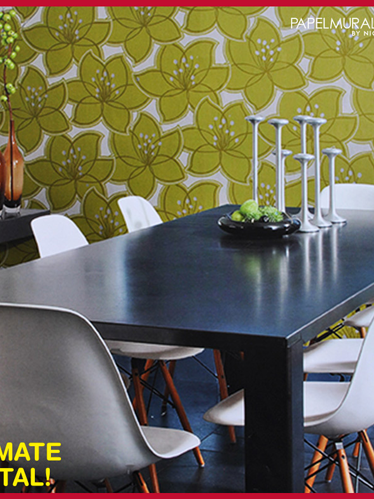 SAPHYR 2- 208034 (21,3 cm) - AC 1