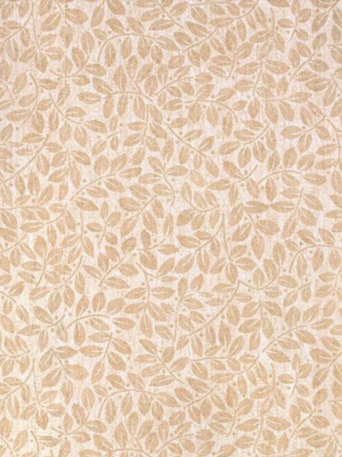 GRAND CLASSIC- GC36605-(64CM) 2