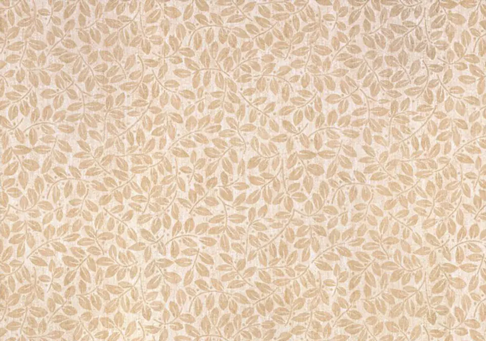 GRAND CLASSIC- GC36605-(64CM) 2
