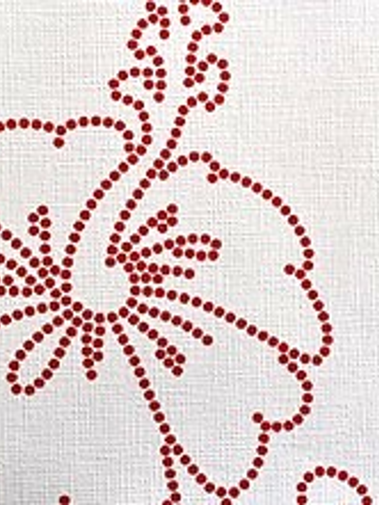 CONTZEN I - 623522(64cm) - A.C. 1