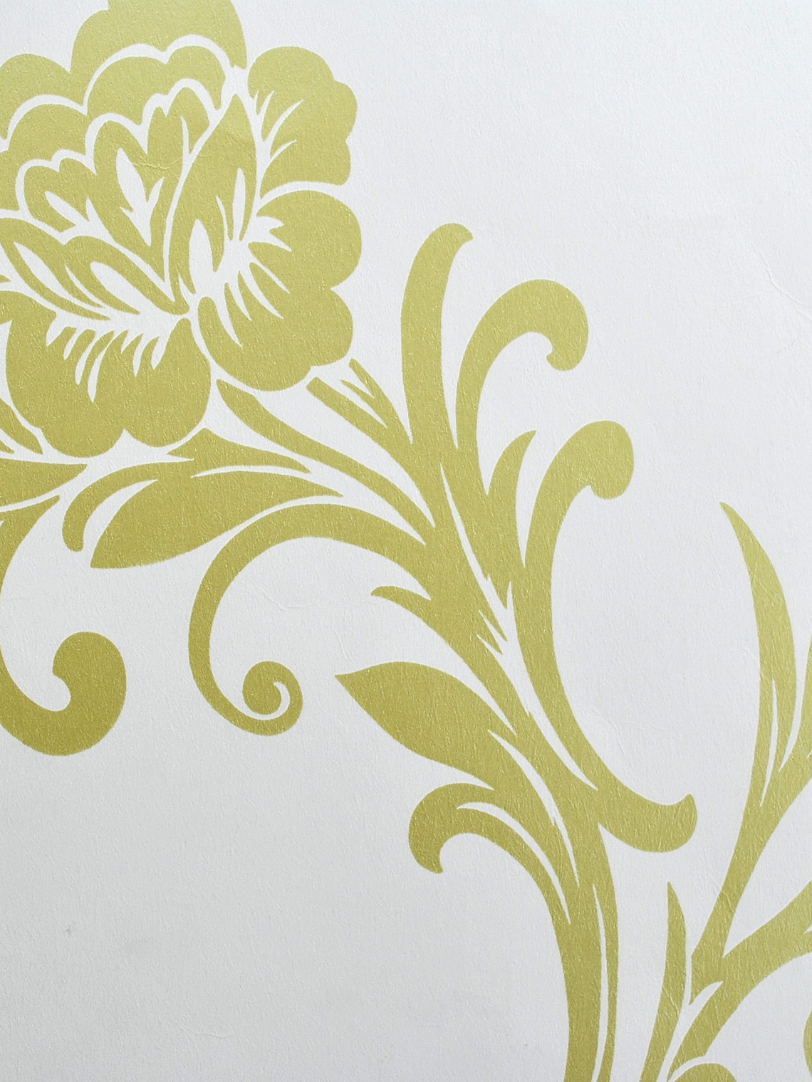 Desire - 630933 (53cm)  1