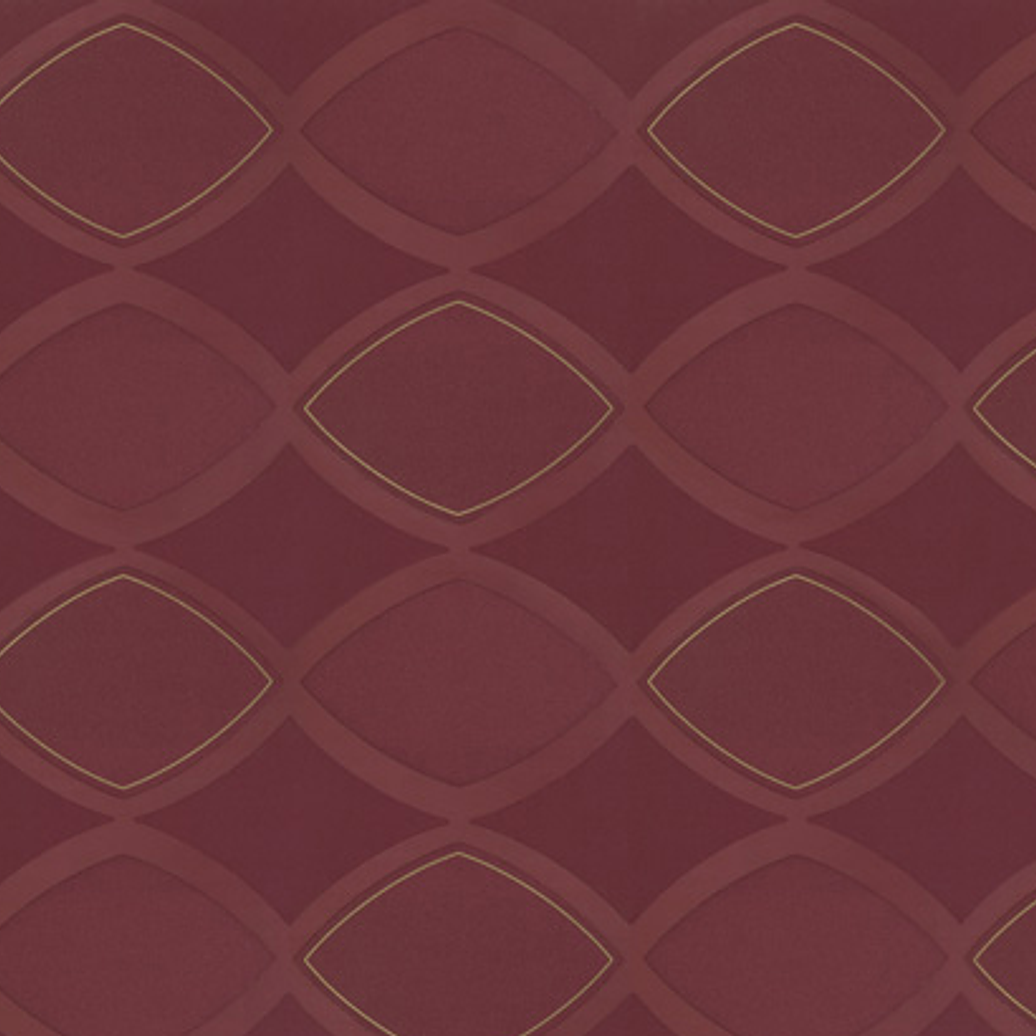 SAPHYR - 280121 (64 cm) - A.C.  1