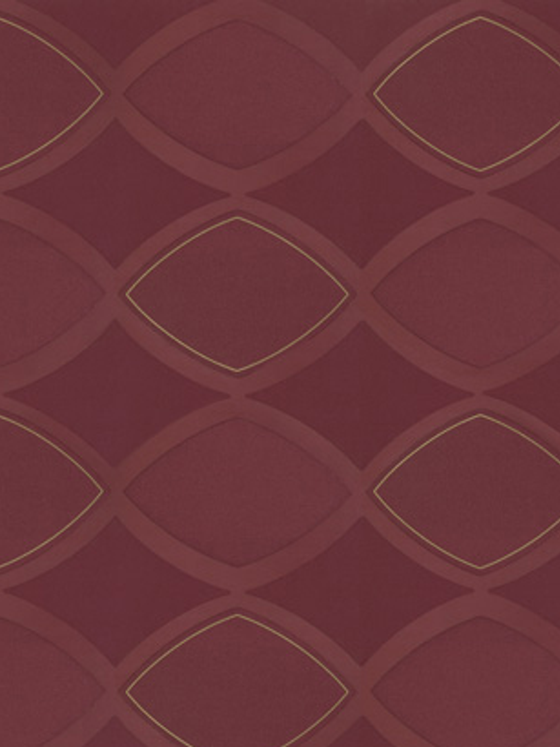 SAPHYR - 280121 (64 cm) - A.C.  1