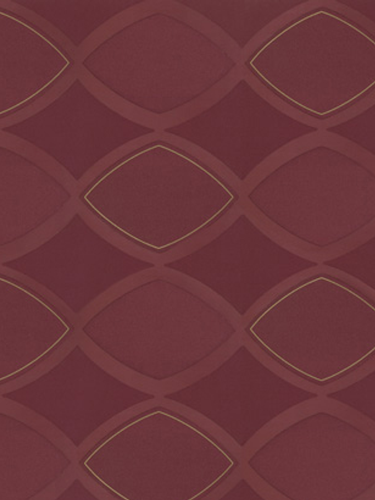 SAPHYR - 280121 (64 cm) - A.C.  1